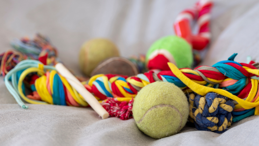 TOP 10 Best Ball Dog Toys for Your Furry Friend